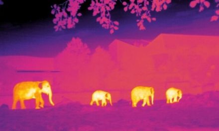 Conservationists use astronomy software to save species