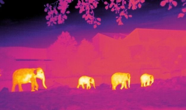 Conservationists use astronomy software to save species