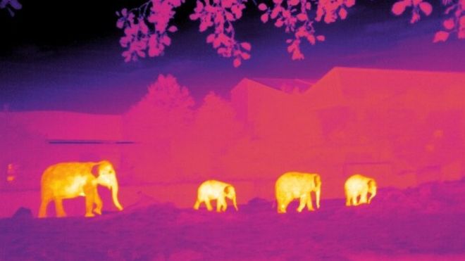 Conservationists use astronomy software to save species
